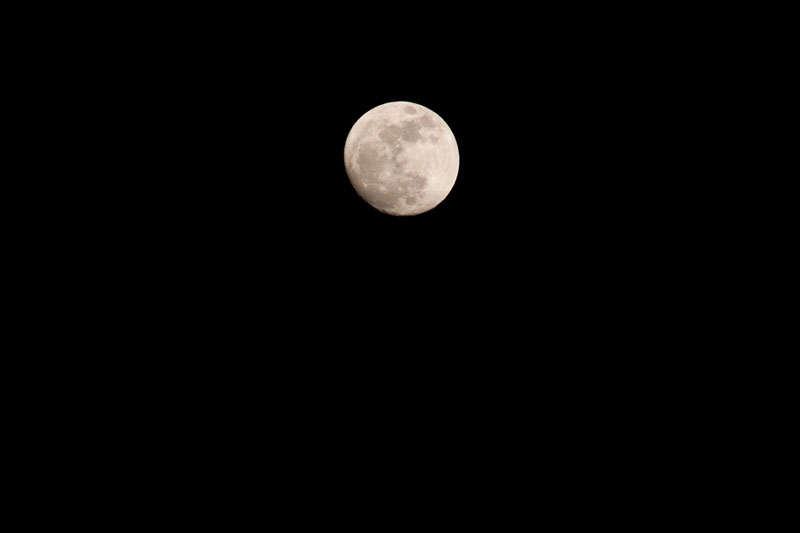 a0278914_7403785.jpg
