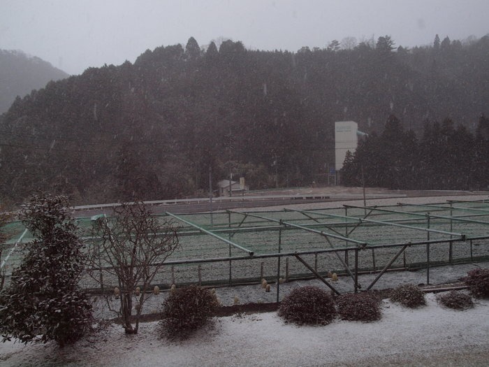 また雪景色_c0116915_23591070.jpg