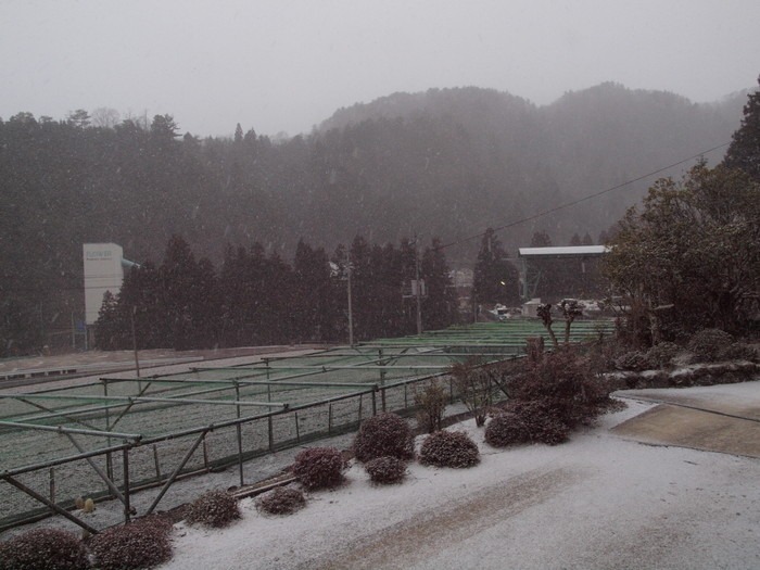 また雪景色_c0116915_23594561.jpg