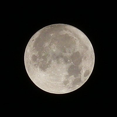 a0260019_3102314.jpg