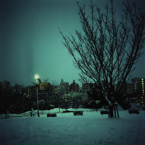 東京に、雪が降った夜_b0212922_127627.jpg