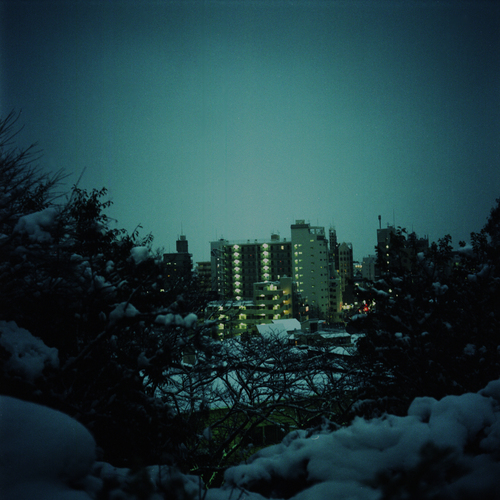 東京に、雪が降った夜_b0212922_127820.jpg