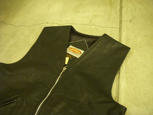 vest _a0143723_12574120.jpg