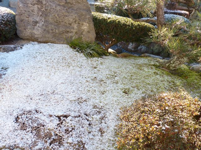 a0188023_9404613.jpg