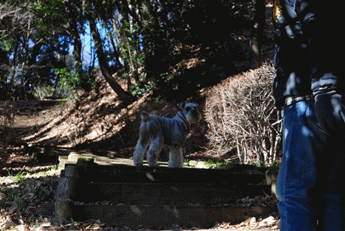 c0236228_20441097.gif