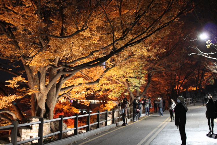 韓国旅行その13 「N SEOUL TOWER &デジカルビ」_d0148729_1529741.jpg