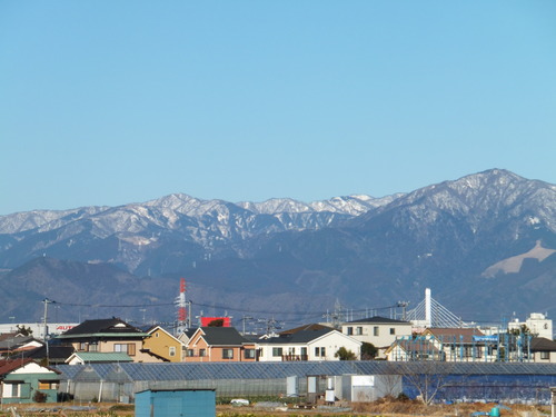 春は近い....もうすぐ梅の花が咲く!_b0137932_1233930.jpg