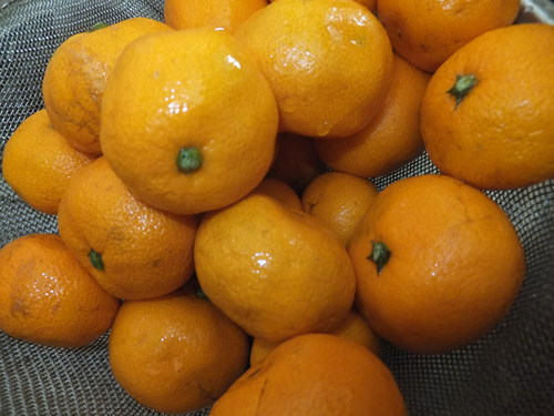 ”大津みかん”でジュース!_b0137932_13164281.jpg