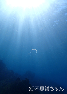 b0163039_1765325.jpg
