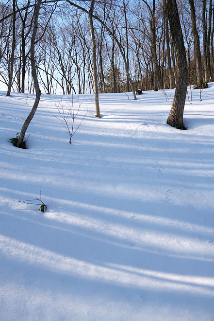 大岡山雪景色　～Blue Stream　２~_c0067040_22333270.jpg