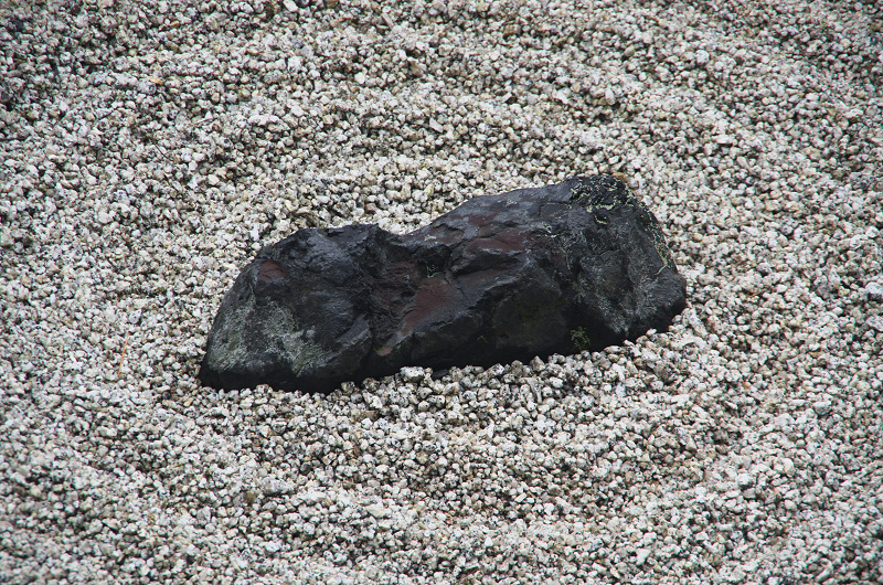 妙心寺塔頭・東海庵のお庭（白露地の庭・東海一連の庭編）_f0155048_13141778.jpg