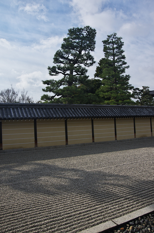 妙心寺塔頭・東海庵のお庭（白露地の庭・東海一連の庭編）_f0155048_1315380.jpg