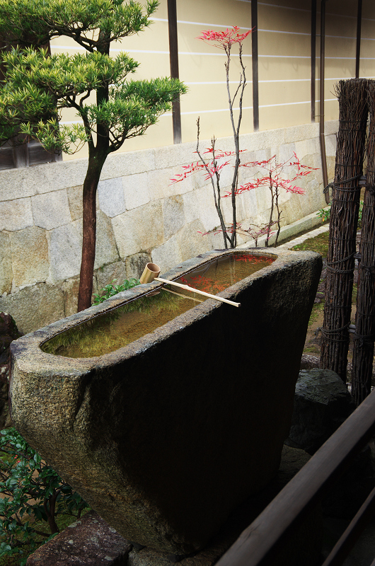 妙心寺塔頭・東海庵のお庭（白露地の庭・東海一連の庭編）_f0155048_13211670.jpg