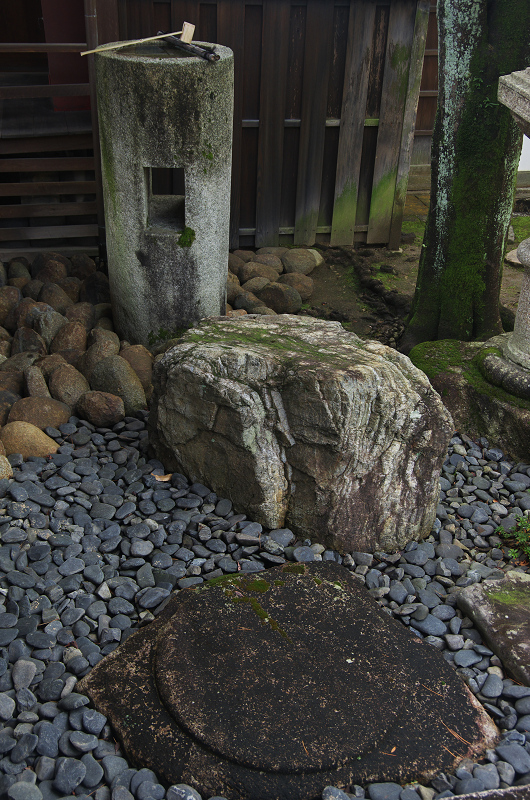 妙心寺塔頭・東海庵のお庭（白露地の庭・東海一連の庭編）_f0155048_13212217.jpg