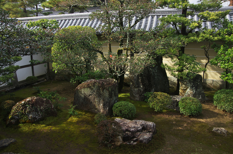 妙心寺塔頭・東海庵のお庭（白露地の庭・東海一連の庭編）_f0155048_1321372.jpg