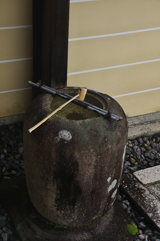 妙心寺塔頭・東海庵のお庭（白露地の庭・東海一連の庭編）_f0155048_13411770.jpg