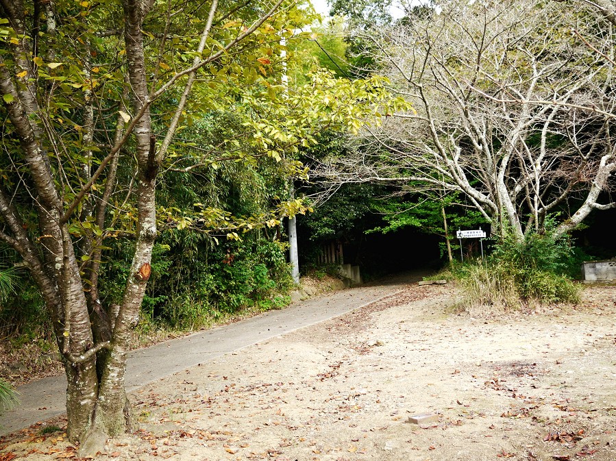 　　和歌山便り_b0093754_2051483.jpg