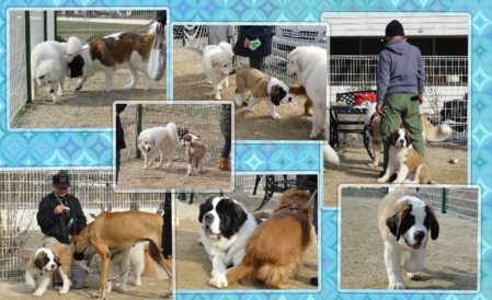 a0201257_16203441.png