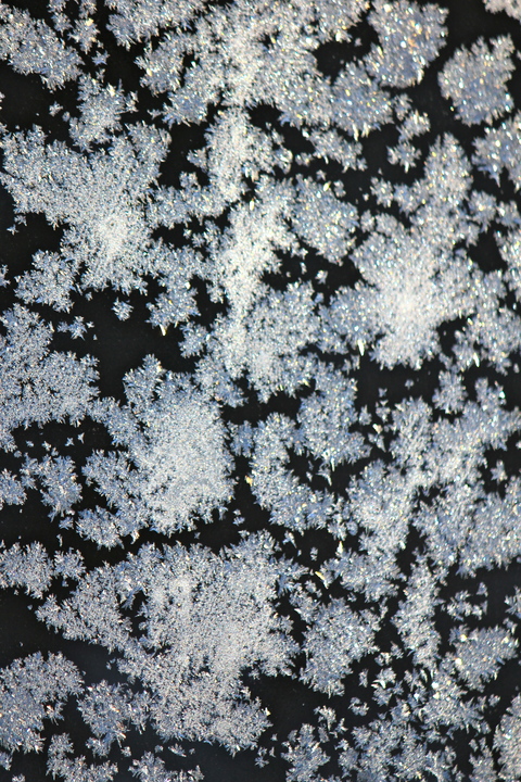 a0248459_16454610.jpg