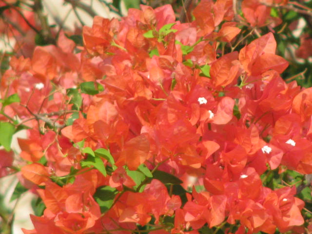b0161073_028292.jpg