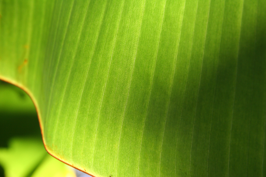 e0118274_20365144.jpg