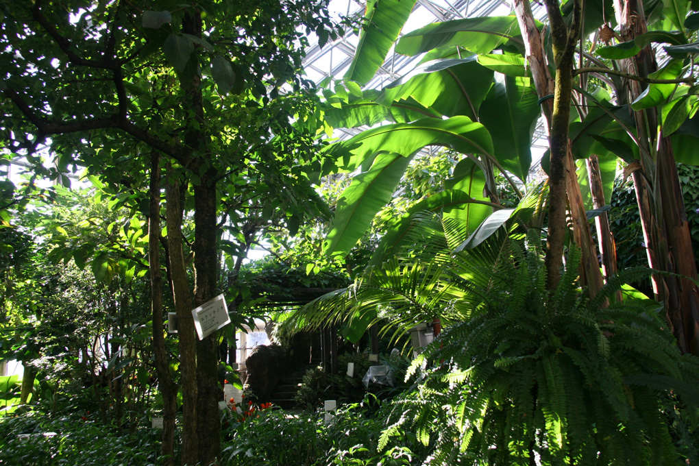 e0118274_20373724.jpg