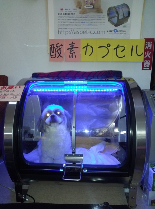 ありがとうございました（＾人＾）感謝♪_b0185375_1524258.jpg