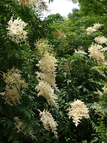f0200477_371050.jpg