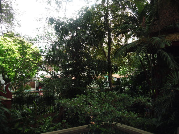 c0096685_20161517.jpg