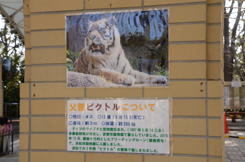 a0052986_756985.jpg