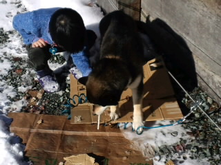 どちらも寒さ知らず!_d0027486_10111946.jpg
