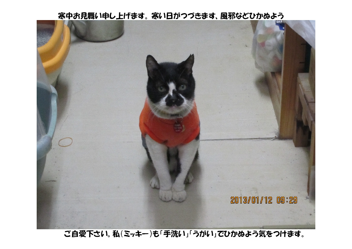 寒中お見舞い申しあげます。_b0151490_16111849.jpg