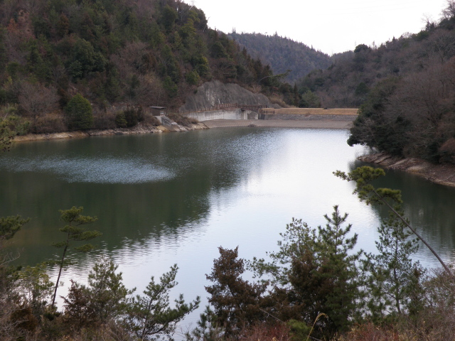 a0206496_1556294.jpg