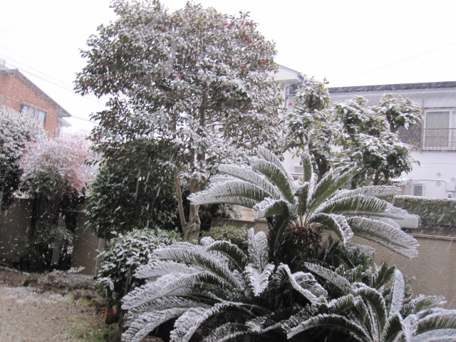 a0145798_17482522.jpg