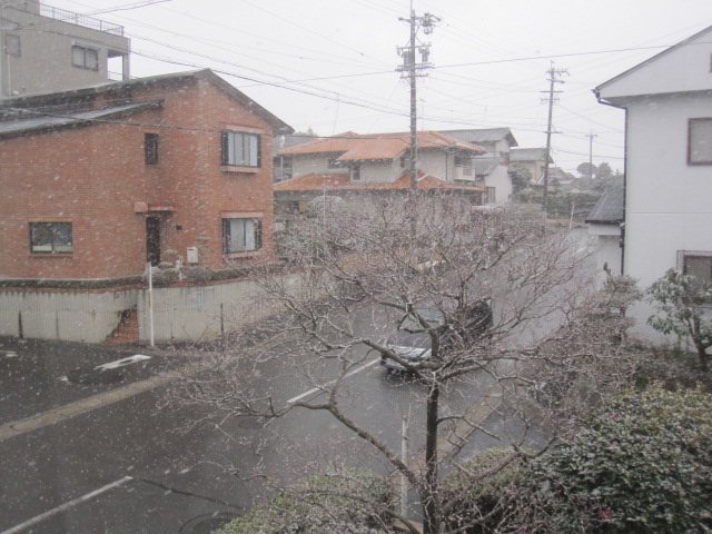 a0145798_174866.jpg