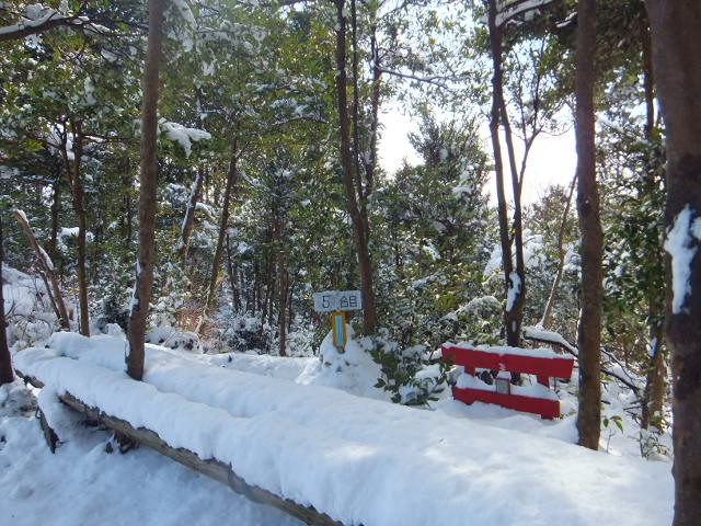 a0271502_1692032.jpg