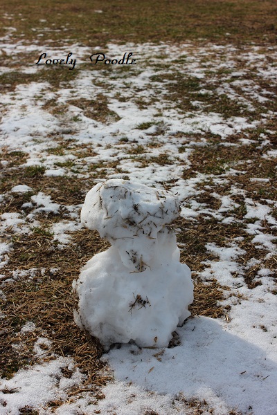 いきなり、雪ー　♪_d0257606_20264538.jpg