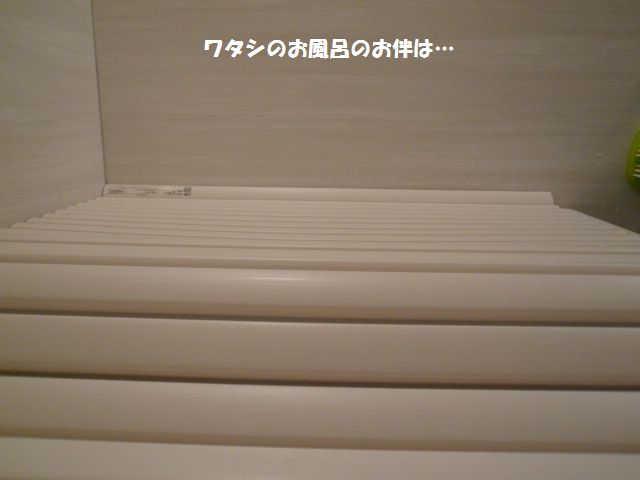 e0094407_1855510.jpg