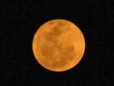 b0051109_12334131.jpg