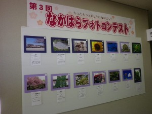 d0241210_10553343.jpg