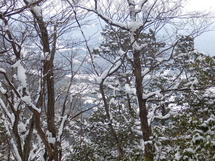 f0219710_7241629.jpg