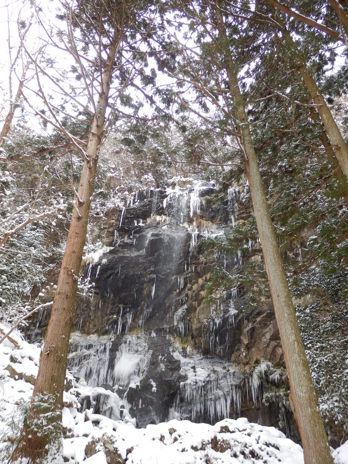 f0219710_755753.jpg