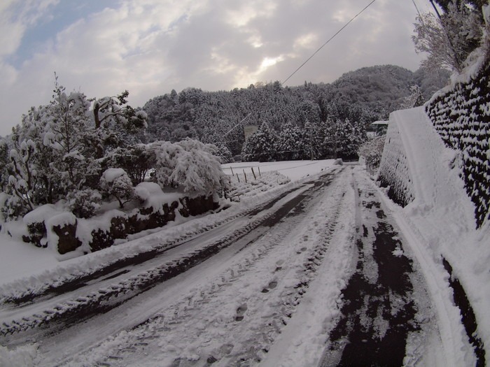 雪国　その２_c0116915_23294616.jpg