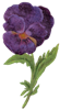 e0259816_8415541.png