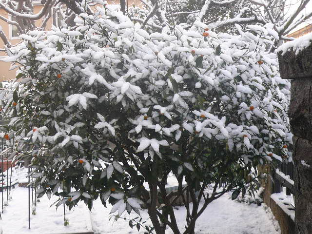 e0026017_9262282.jpg
