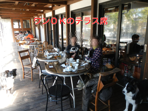 a0232619_1918833.png