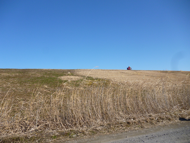 c0223419_17475933.jpg