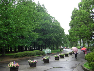 c0074721_167031.jpg