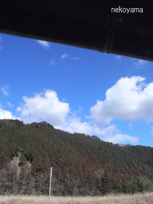 c0162823_10422.jpg