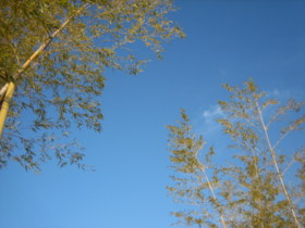 d0149223_22533834.jpg